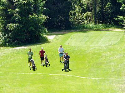 Four golfers walking on a sunlit golf course with vibrant green grass, surrounded by trees. They push golf carts along the fairway, enjoying the outdoors.