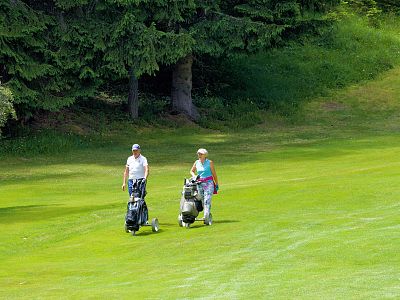 Two people strolling across a green golf course, pushing golf carts, surrounded by trees and a clear sky.