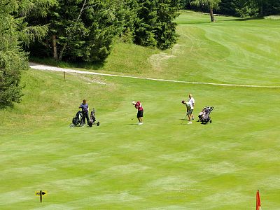 Four people on a green golf course, one swinging a club while others watch, surrounded by trees and well-maintained grass.