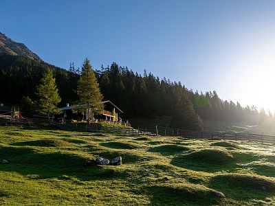A sunny morning in the Alps with a cabin and pine trees. Light shines over grassy hills, creating a peaceful atmosphere in the mountain landscape.