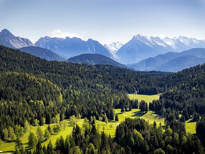 Lush green landscape of forests and hills with distant snow-capped mountains under a clear blue sky. Vibrant, natural scenery depicting tranquility.