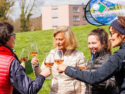Four people in jackets toast with wine glasses outside on a grassy area, with trees and buildings in the background.