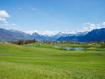 A scenic view of green fields, small ponds, and distant snow-capped mountains under a blue sky, creating a tranquil and picturesque landscape.