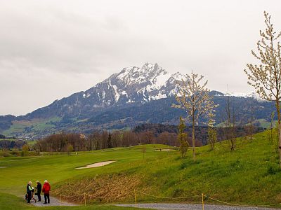 Snow-capped mountain with cloudy sky, grassy landscape, and three people walking on a path, surrounded by greenery and small trees.