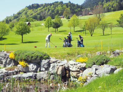 Golfers on a lush green course with trees and hills in the background, enjoying a sunny day. The landscape includes rocks and vibrant foliage in the foreground.