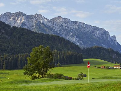 A green golf course with a red flag, surrounded by mountains and trees under a blue sky. A peaceful and scenic landscape ideal for golf enthusiasts.