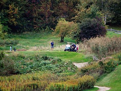 Three people enjoy a golf game amid lush greenery; one golfer stands, while two are near a golf cart, surrounded by trees and bushes on a sunny day.