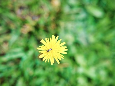 r5-0612christophhaid-3