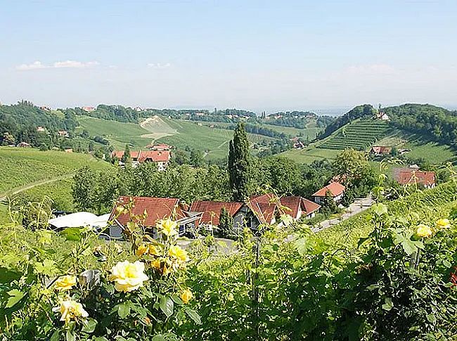 tourismus_betrieb_E-W-Polz-Weingut-II-14c
