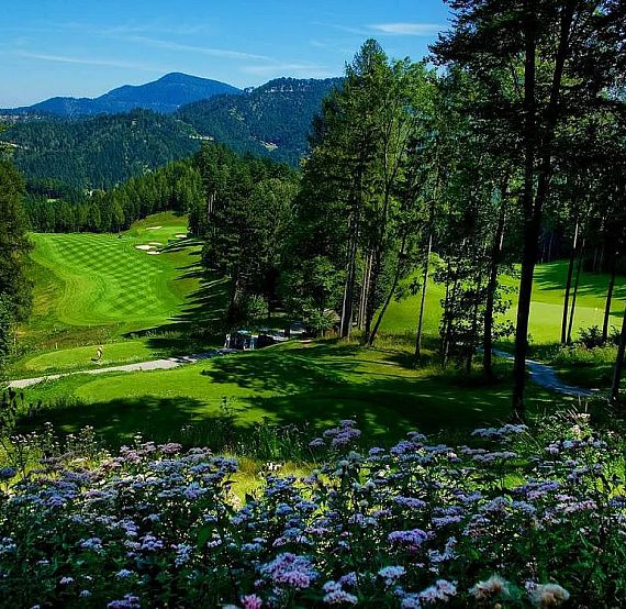 A vibrant golf course nestled in mountains, surrounded by trees and wildflowers under a clear blue sky.