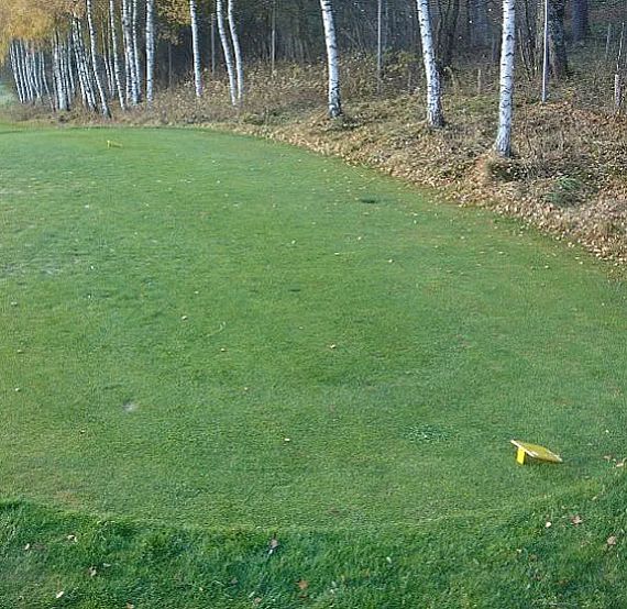 A green golf course with a yellow marker, surrounded by birch trees with autumn leaves. The setting appears calm and peaceful, ideal for a relaxing game.