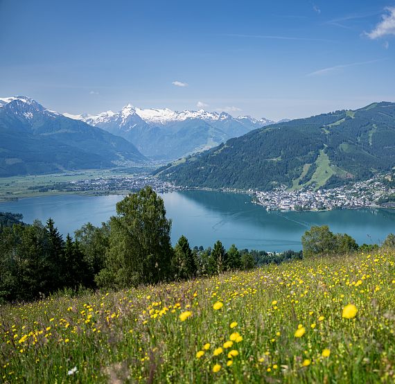 aussicht-vom-mitterberg-im-fruehling-view-from-mitterberg-in-spring-c-zell-am-see-kaprun-tourismus-2