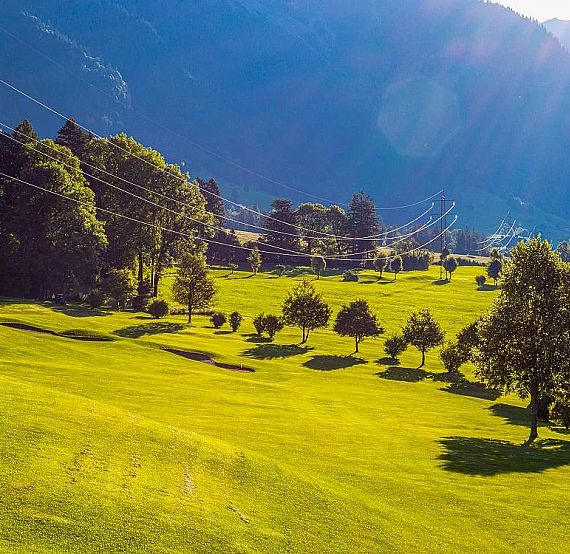 A scenic landscape with green hills, scattered trees, and sunlit meadows. Mountains in the background under a bright blue sky, evoking tranquility.