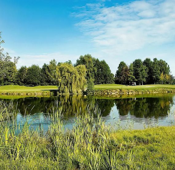 A calm pond with reflections of trees and a grassy foreground under a bright sky. Peaceful nature setting ideal for relaxation.