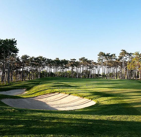 A golf course with green grass, sand bunkers, and surrounding trees under a blue sky. The landscape is peaceful and ideal for playing golf.