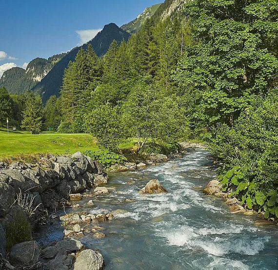 A clear stream flows between lush greenery and rocks with mountain peaks in the background under a blue sky, creating a serene natural scene.