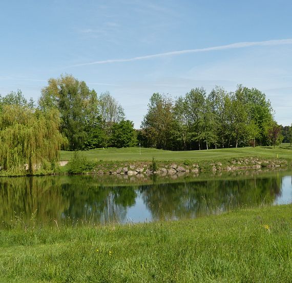 Calm lake reflecting green trees and a clear sky, surrounded by grass and a few scattered trees along the shore.