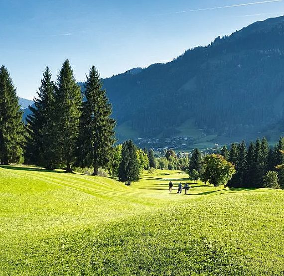 Lush golf course with green fairways, surrounded by tall pine trees and mountains in the background under a clear blue sky.