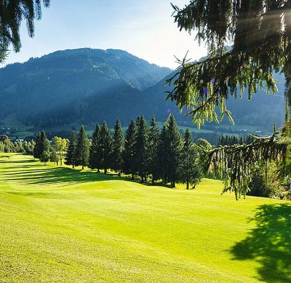 A lush golf course with green grass, bordered by pine trees, under a clear blue sky and mountains in the background, illuminated by sunlight.