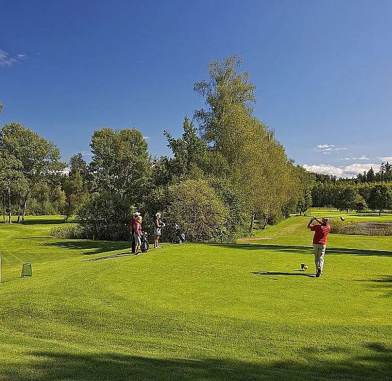 Three golfers on a sunny green golf course surrounded by trees, one preparing to tee off while two others wait, under a clear blue sky.