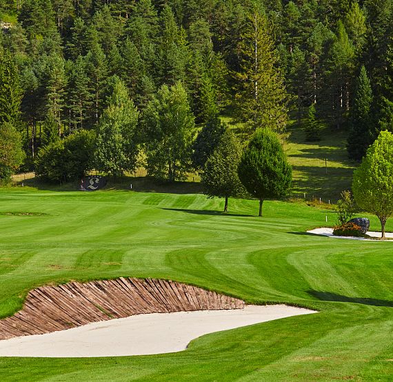 Lush golf course with green fairways, bunkers, and dense trees in the background under a clear sky, creating a tranquil outdoor setting for golf.