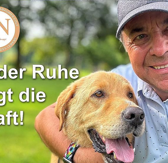 Ein Mann in einem Poloshirt und einer Baseballkappe lächelt und umarmt einen großen, freundlichen Hund in einem grünen Park.