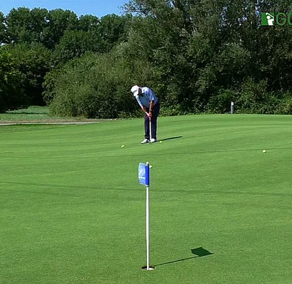 A golfer putting on a bright green course with multiple flags, surrounded by lush trees, under a clear blue sky.