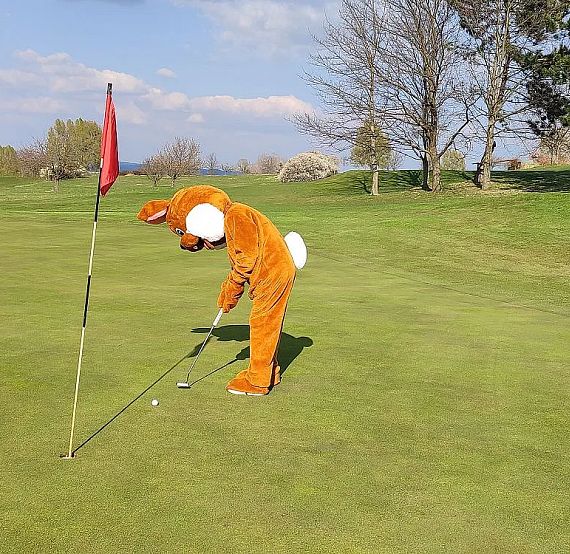 Person in a fluffy animal costume playing golf, concentrating on putting on a sunny day, with a red flagstick and green grass, under a blue sky.
