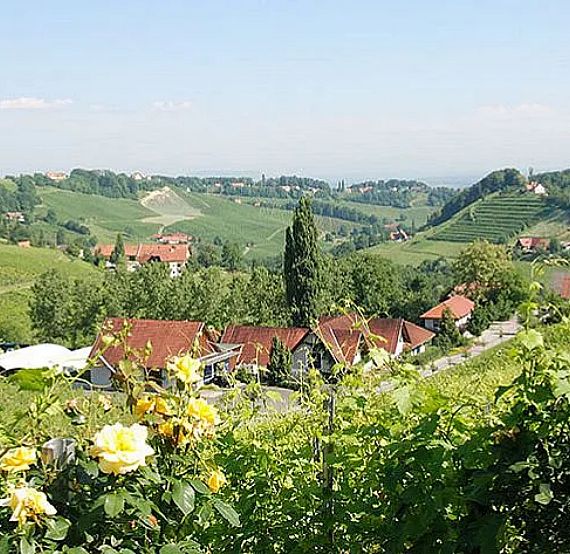 Vineyard landscape with rolling green hills, dotted with trees and flowers in the foreground under a clear blue sky, creating a serene and idyllic view.