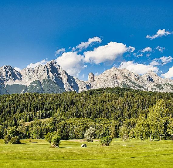 Lush green field with a small tent, bordered by dense forest, set against a majestic mountain range and a bright blue sky with fluffy clouds.