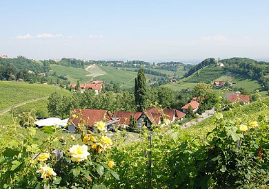 Golf in Austria's offizieller Weinpartner